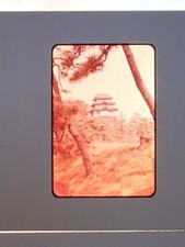 Ektachrome Slide 35mm #6