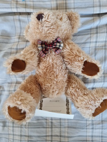 Vintage teddy bear - vintage, angus