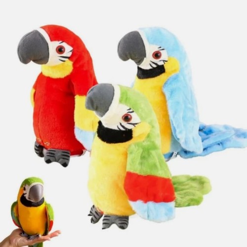 Imitates fun repeat parrot - fun,