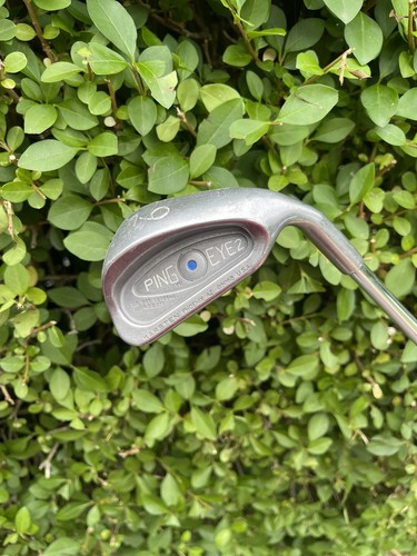 Ping eye blue - ping, 2