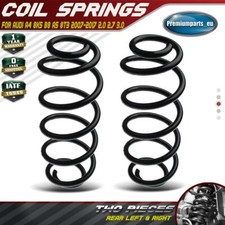 2x Coil Springs Rear