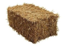 Handy Size Barley Straw Bale - 16kg, compressed to 90cm x 50cm x 40cm. Boxed.