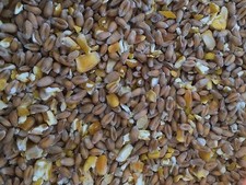20kg quality mixed corn - 20kg,