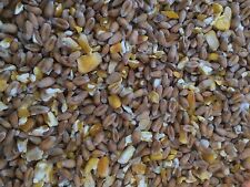 20kg Quality Mixed Corn -