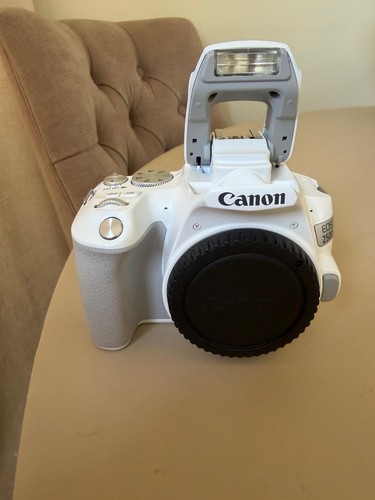 Canon eos 250d - 24.1mp, dslr