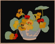 John Hall Thorpe: Nasturtiums