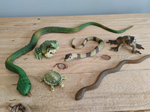 Elc reptile bundle snake - reptile,