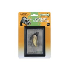 Collecta tooth - collecta, of