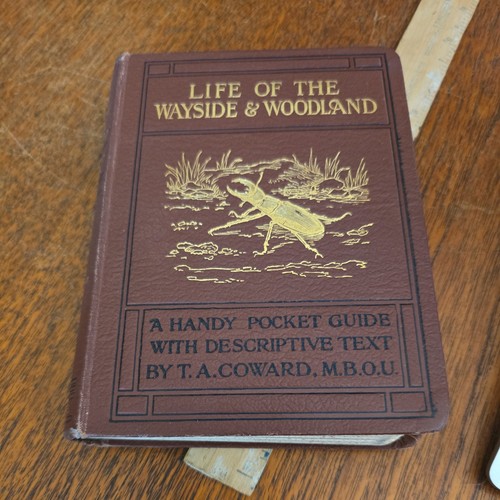 Life the wayside - of, &