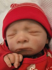 Stunning Realistic Reborn Baby Boy  with human hair. 10 +yrs Reborn  experience.
