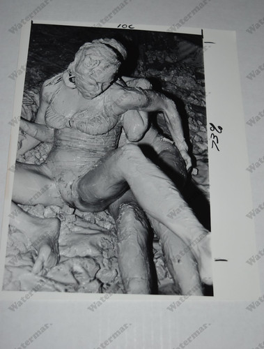 Big busty brawlers woman mud - big,