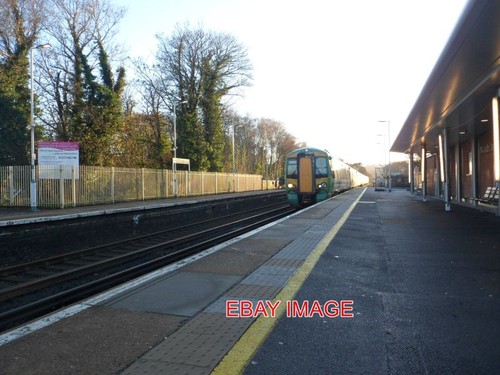 Photo southern emu 377159 - 377159, at