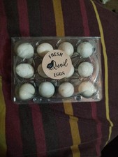 6 Fresh celedon quail  Eggs