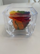 Eternal Petal Rainbow Rose Real Rose with Long-Lasting Quality