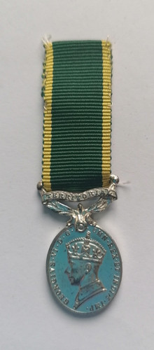 Medal territorial efficiency - medal,