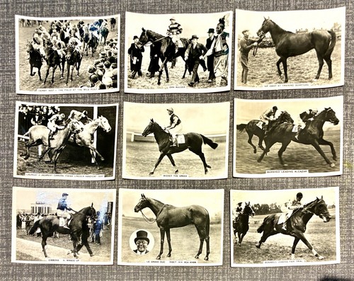 Prominent race horses - prominent,