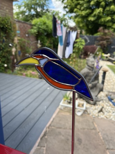Stained glass kingfisher - stained,