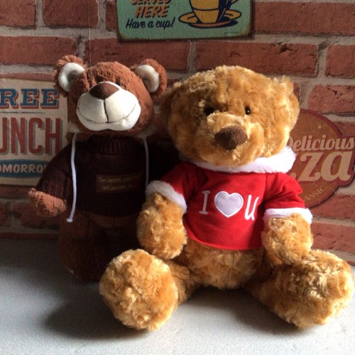 Valentines teddy bears love - teddy,