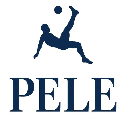 Pele logo kids hoodiet - logo,