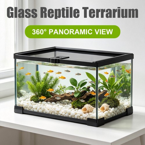 Large glass reptile - glass,
