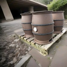 4x 9 Gallon Beer Barrels