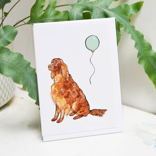 Red setter birthday card - -,