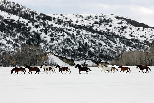 Routt county colorado 2016 - county,