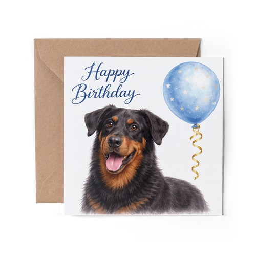 Beauceron dog greeting - beauceron,