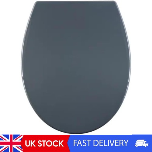 Mdf toilet seat novelty - toilet,