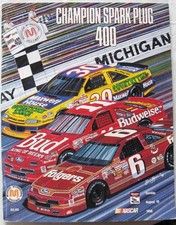 MICHIGAN INTERNATIONAL