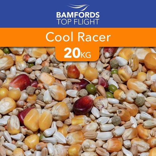Bamfords cool racer pigeon - bamfords,