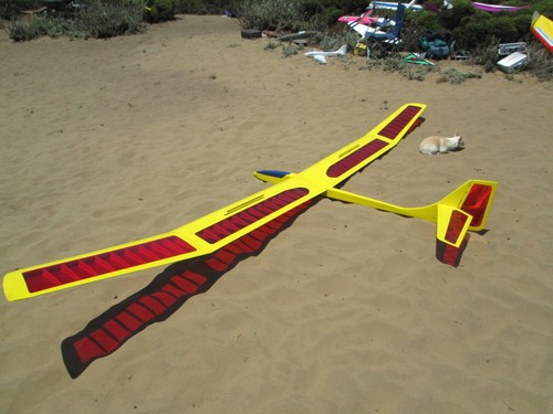 Sagitta 4m rc sailplane - xc,