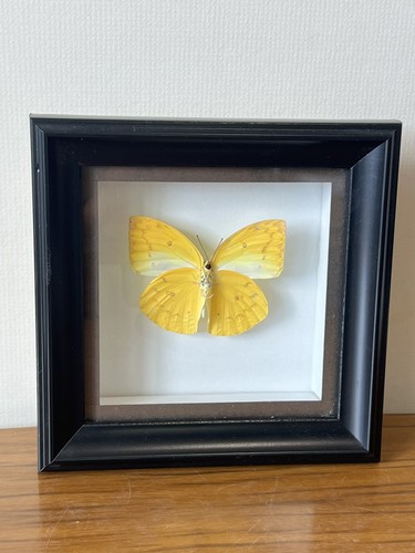 Vintage style 1990 framed - vintage,