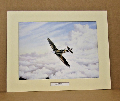 Baders bus spitfire - baders,