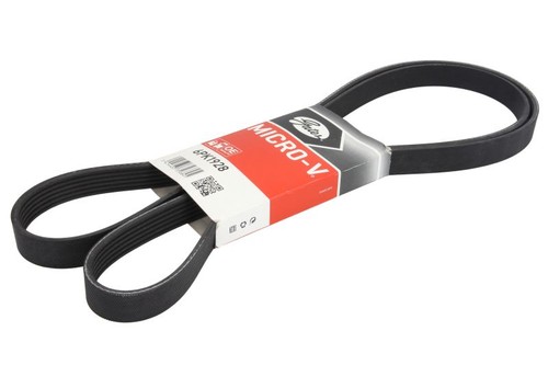 Gat multi ribbed belt - -,