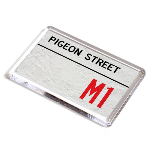 Fridge magnet pigeon street - fridge,
