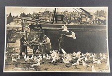 RP POSTCARD SEAGULLS AND