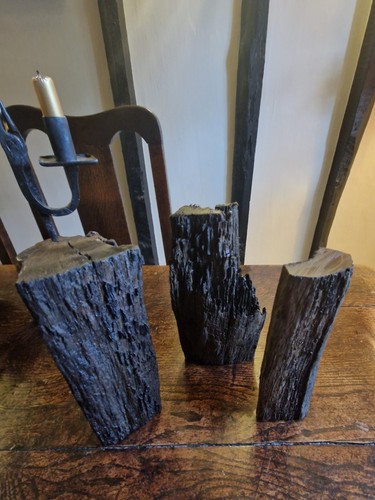 Bog oak english - bog,