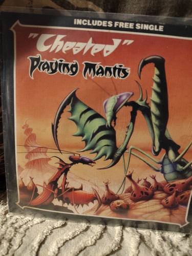 Praying mantis cheated 2x7 - praying, 2x7"