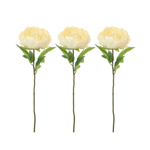 Pack cream faux silk - pack,