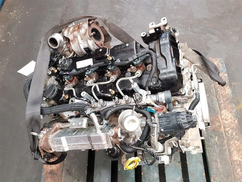 2019 mk3 isuzu - mk3, rg