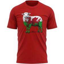 Funny Wales Fan T Shirt Mens