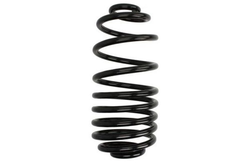 Suspension spring magnum - spring,