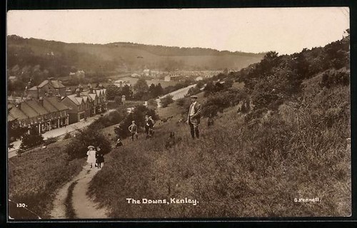 Postcard kenley the downs - kenley,,