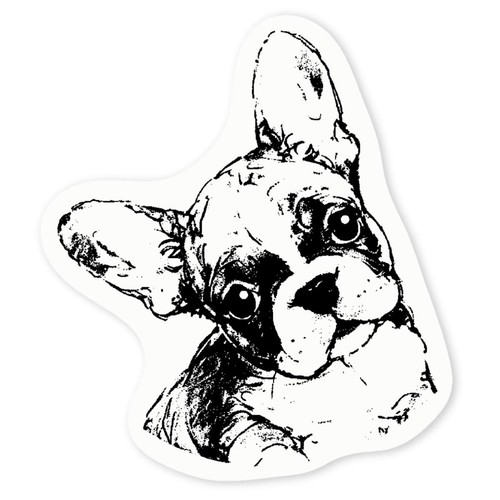 Cute french bulldog puppy - french, puppy'