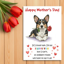 Cardigan welsh corgi - cardigan,