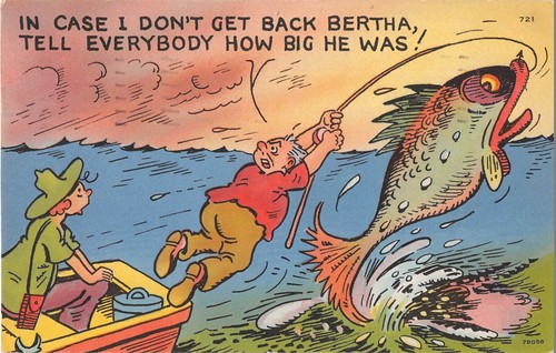 Huge fish pulls fisherman - pulls,