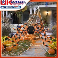 Large Hairy Giant Spider