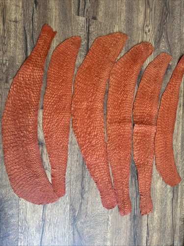 Genuine terracotta salmon - terracotta,