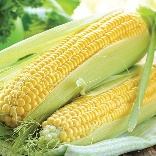 Thompson morgan sweetcorn - &,
